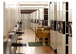 Приглашаем в электронную библиотеку диссертаций РГБ