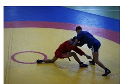 Выявлены победители и призеры Всероссийского турнира по самбо среди мужчин, посвященного подвигу Героя Советского Союза А. Матросова