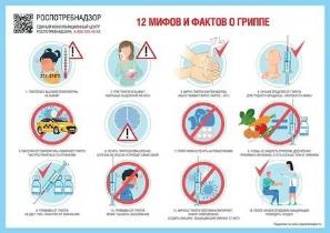  12 мифов и фактов о гриппе