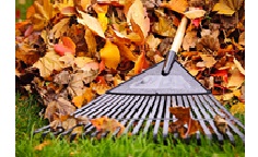 Коллектив ВЛГАФК принял участие в традиционном весеннем месячнике по благоустройству территорий.